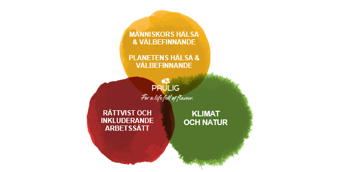 Pauligs hållbarhetsambitioner 2030 v2